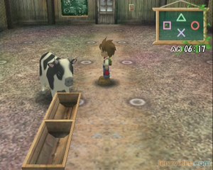 Harvest Moon : A Wonderful Life : Le fermier débute son exploitation