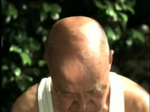 Boktai : The Sun is in Your Hand : Spot court