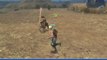 Final Fantasy XII : combats