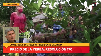 Precio de la yerba: resolución 170