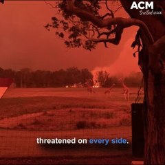 Zookeeper Chad from Mogo