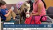 Therapy horses being used to bring smiles to children through reading