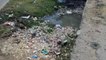 The forest spread in the drain of Pandu, made a garbage can