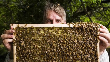 The Canberra Times - The journalism you trust to keep you connected