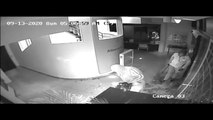 Canberra businesses targeted by smash-and-grab thieves