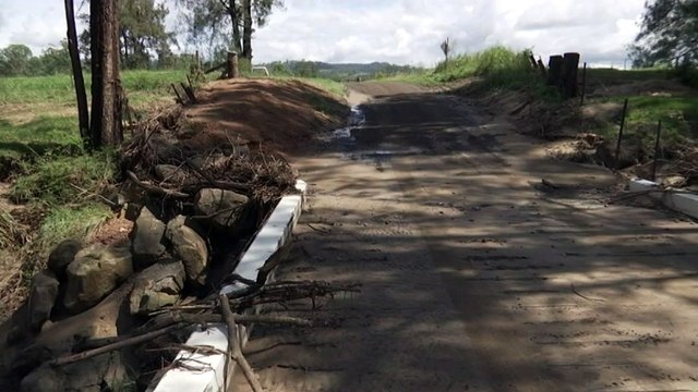 Man has in died in floodwaters near Grafton in northern NSW