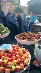 خضار طازة وأورجانيك في سوق الخضار بالطور.. تعالى شوف عروض التجار