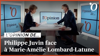 Descargar video: Philippe Juvin (LR): «Un accord de gouvernement LR-LREM ? Il peut y avoir des convergences»