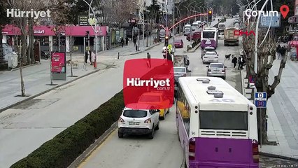 Sürünün saldırdığı köpeği, Belediye Başkan Yardımcısı kurtardı; o anlar kamerada