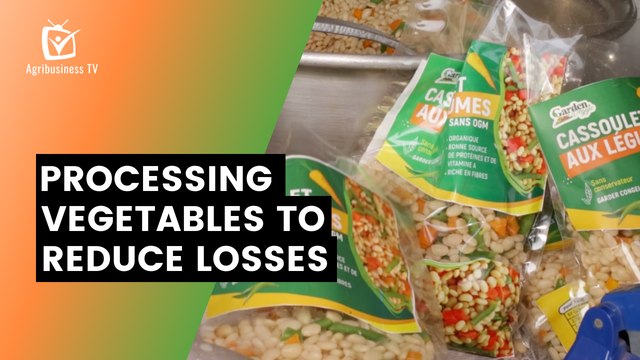 Benin: Processing vegetables to reduce losses