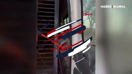 İngiliz emekli asker, Ukrayna’dan aslan ve kurdu tahliye etti