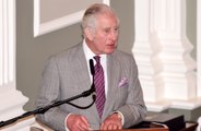 Prince Charles jokes he and wife Camilla want to travel as much as possible before 'senility overtakes' them