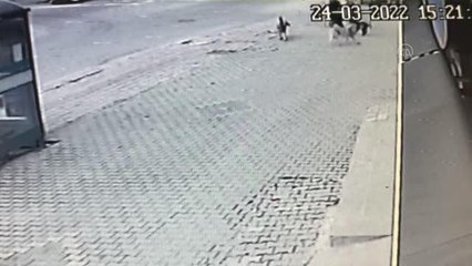 Sahipsiz köpeğin kadın ve çocuğu kovalaması güvenlik kamerasına yansıdı