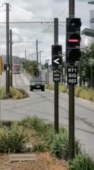 Close call on Gungahlin light rail tracks