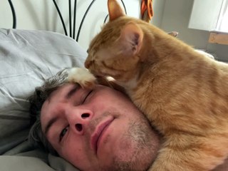 Saturday Mornings are for Cleaning Your Tail