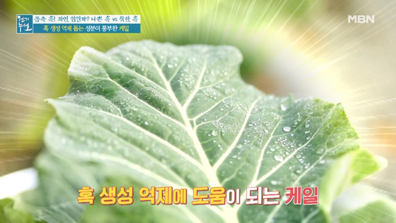 전문가가 알려준다! 케일 더 맛있게 건강하게 먹는 방법은?