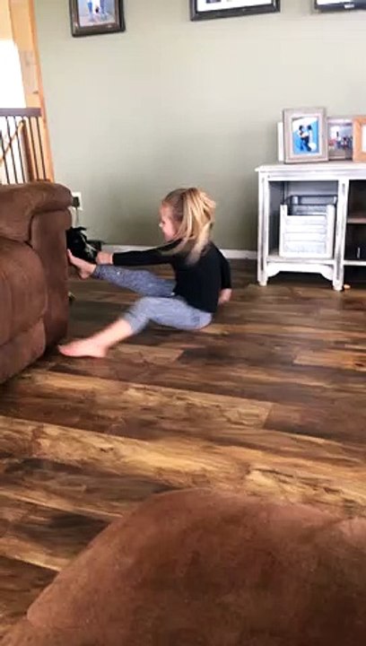Playful Border Collie Pulls Best Friend Around