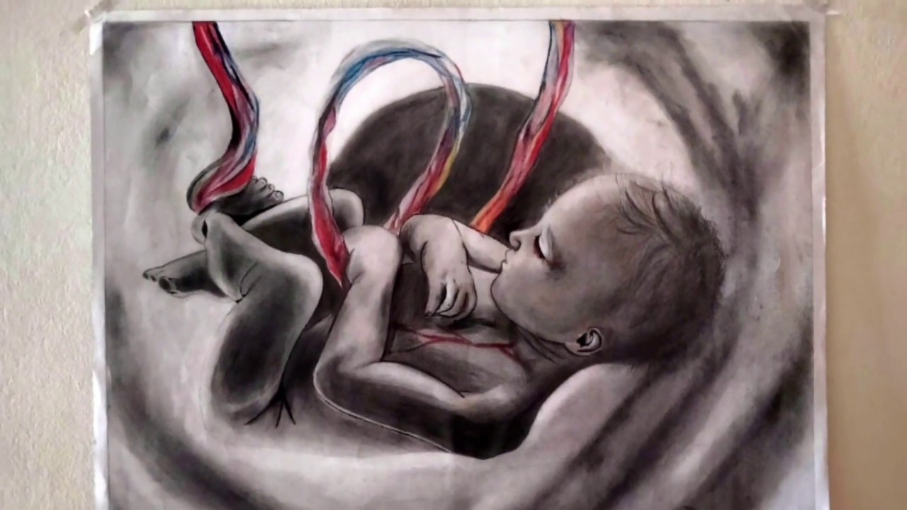 Reproduction Artwork Video