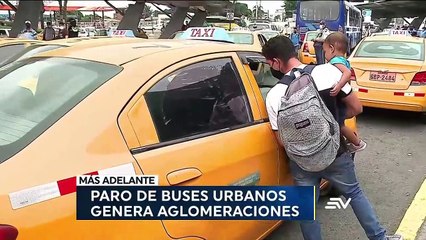 Televistazo 19h00 25-05-2021