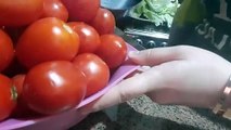 طريقه تفريز الطماطم باجمل طريقه