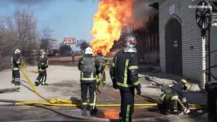 Gefallene nur auf der Gegenseite? Das Rätsel um die Kriegstoten