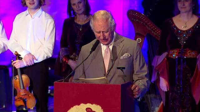 Charles and Camilla put best foot forward in Irish jig