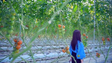 2022.03.23 乃木坂46 小川彩 5期生 Documentary @ 29th Actually... Type-B