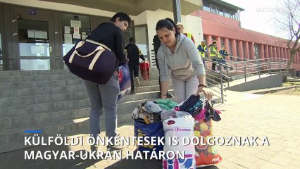 Hétezer plüssmackót vitt busszal a záhonyi határhoz pár angol fiatal