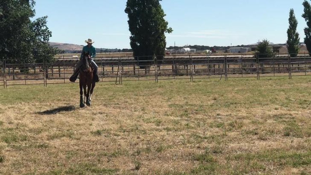 Ballarat Rodeo organiser and competitor Erin Beattie speaks about their support for mental health organisations