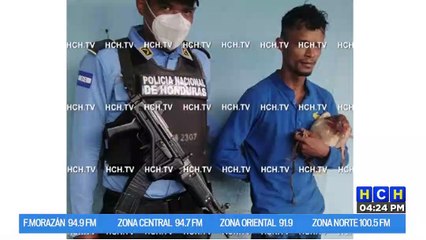 Capturan a un hondureño por robarse una gallina en Olanchito, Yoro