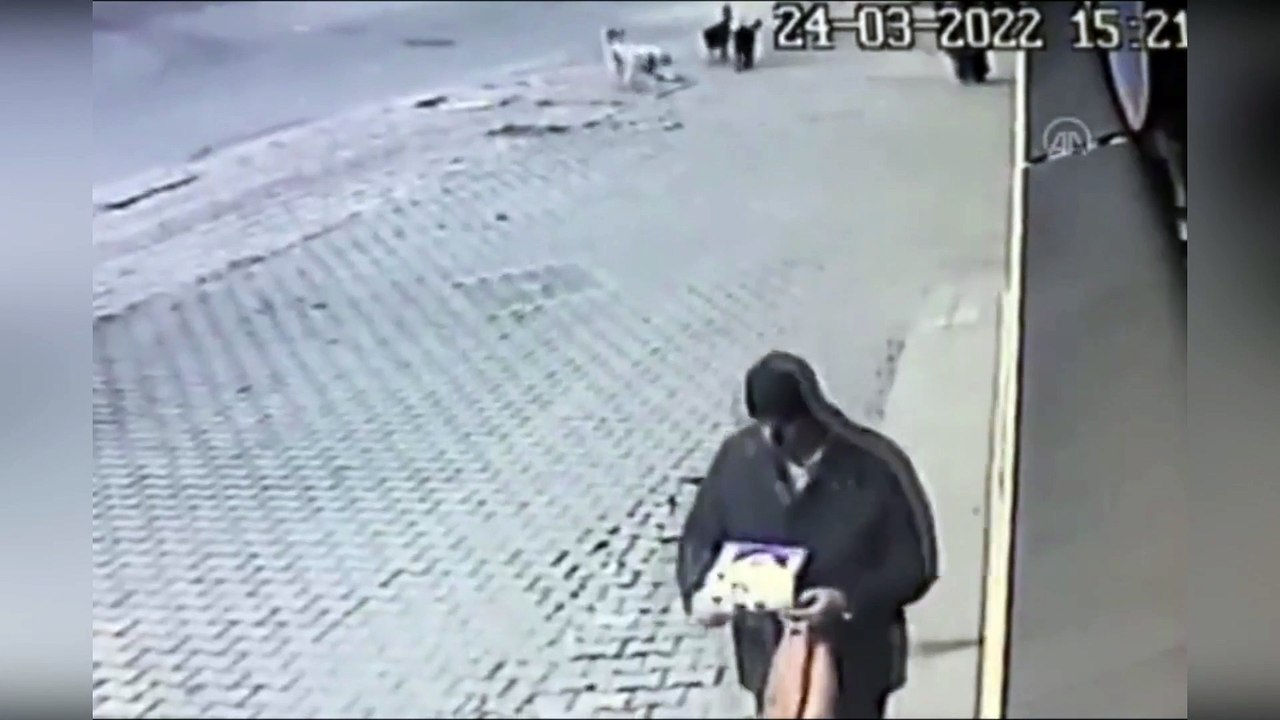 Anne ve çocuğuna başıboş köpekler saldırdı! Ölüme ramak kala