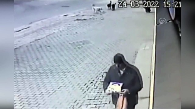 Anne ve çocuğuna başıboş köpekler saldırdı! Ölüme ramak kala