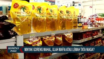 Minyak Goreng Mahal Jadi Mimpi Buruk, Ini Ulah Mafia atau Regulasi Tata Niaga yang Lemah?!