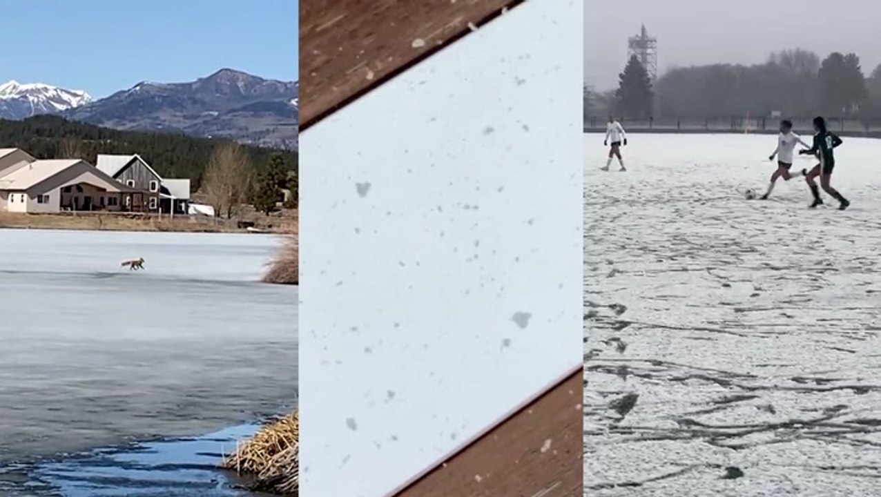 Celebrating unique moments as wintry weather returns across the country