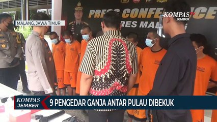 9 Pengedar Ganja Antar Pulau Gunakan Modus Jaringan Terputus