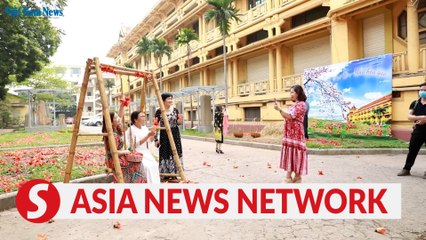 Vietnam News | National museum offers kapok-themed tour