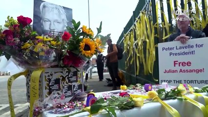 Julian Assange Menikah Di Luar Penjara