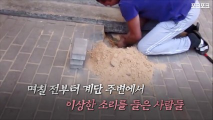 보도블록 아래서 이상한 소리…벽돌 들어내보니