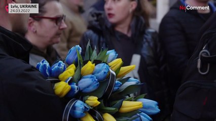 In Lwiw werden täglich im Krieg gefallene Soldaten begraben