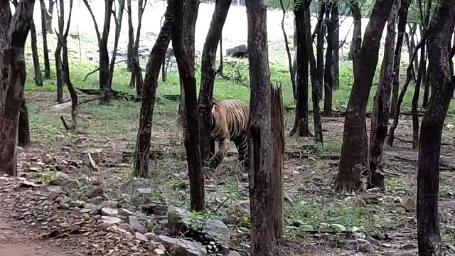 खण्डार में पार्क का गेट खुले तो विकसित हो पर्यटन सर्किट