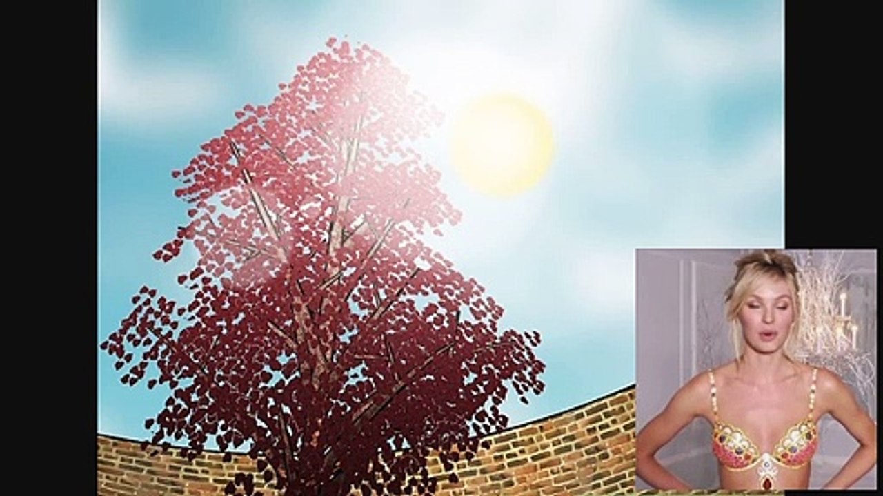 How to Plant Redbud Trees