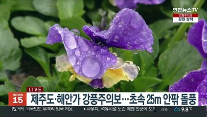 [날씨] 제주·해안가 태풍급 강풍…휴일 경기·강원 빗방