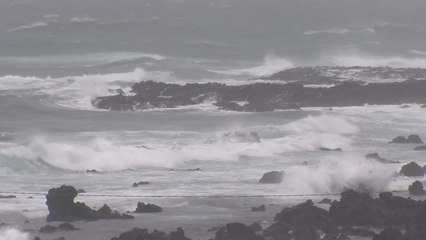 제주에 '태풍급 강풍'...한라산에 시속 140km / YTN