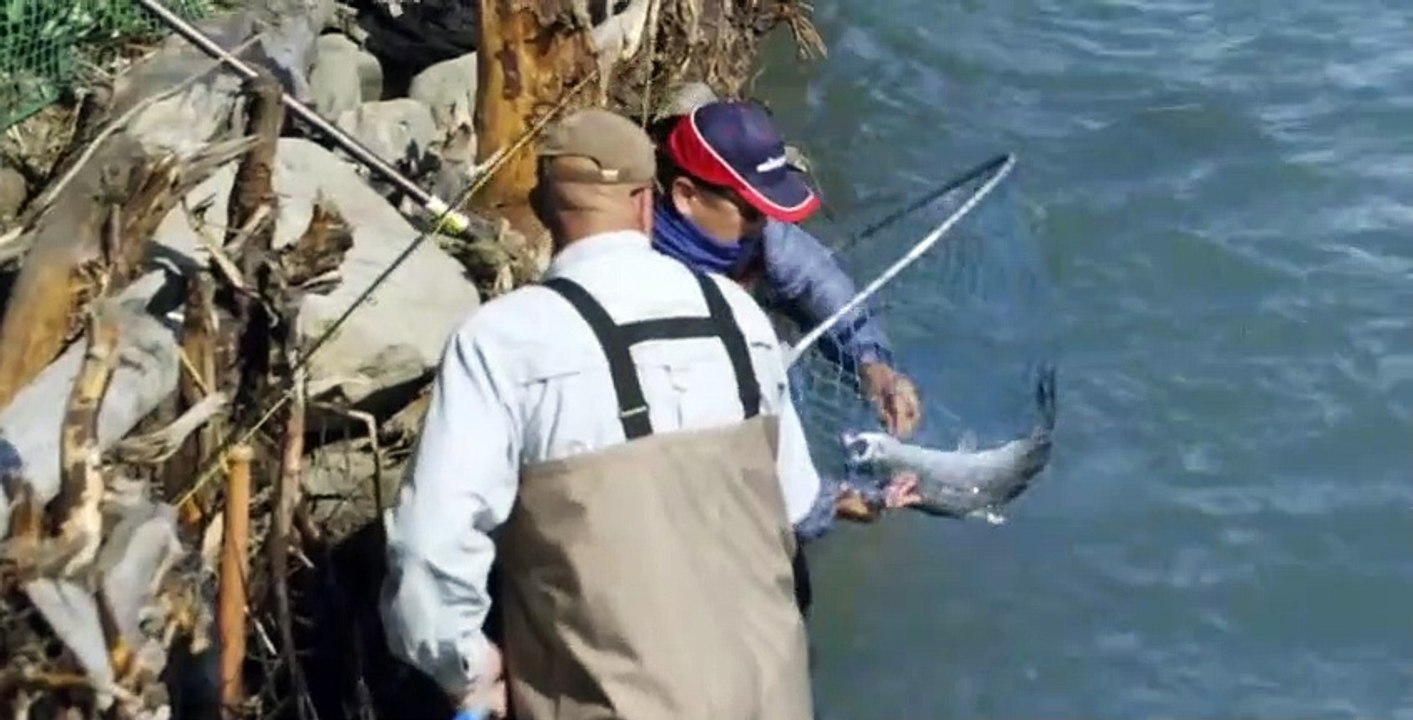 Jeremy Wade's Dark Waters S01 E02