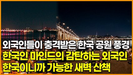 외국인들이 충격받은 한국 공원 풍경, 한국인 마인드의 감탄하는 외국인들 ‘한국이니까 가능한 새벽 산책’