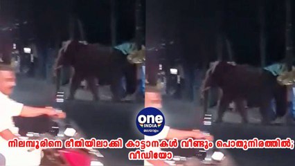 മലപ്പുറം: നിലമ്പൂരിനെ ഭീതിയിലാക്കി കാട്ടാനകൾ വീണ്ടും പൊതുനിരത്തിൽ; വീഡിയോ