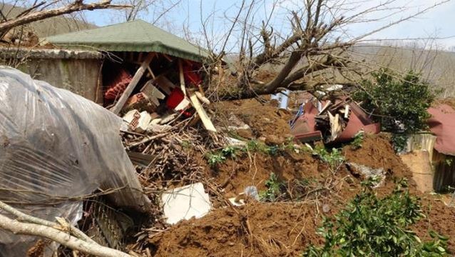 Ordu'da heyelan evleri böyle yuttu! 3 ev ve bir ahır yıkıldı, inekler telef oldu