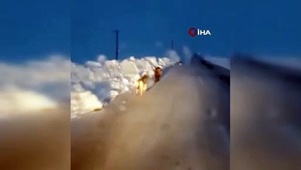 Görenler şoke oldu: Hemen kayıt düğmesine baktılar