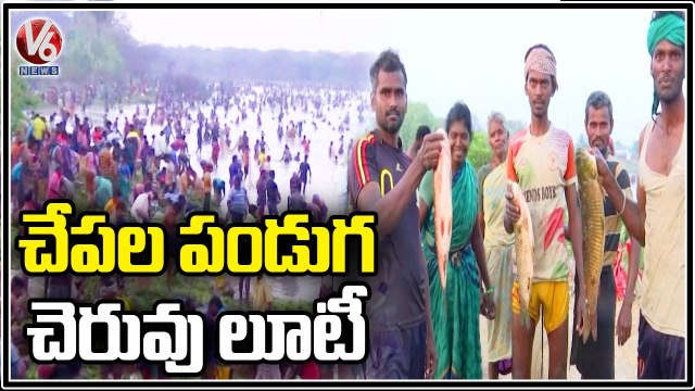 Traditional Fishing Festival Celebrations in Thiruvathavur | Tamil Nadu | V6 News