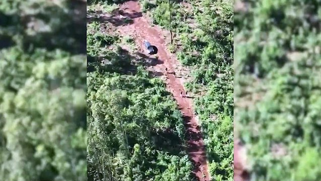 PM e PRF, com apoio aéreo da PCPR realizam buscas na região após troca de tiros; policial ferido recebe tratamento em Cascavel